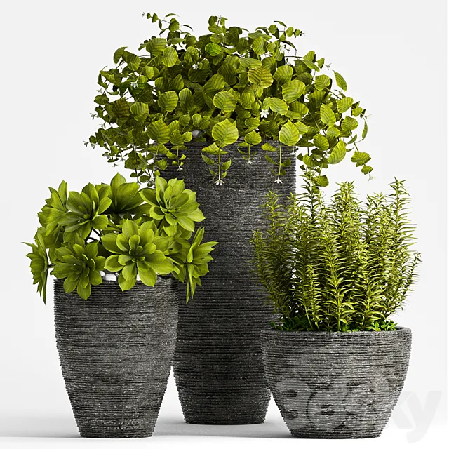 PLANT SET – 75 3D Model PLANT SET – 75 3D Model
