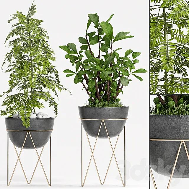 PLANT SET -85 3D Model PLANT SET -85 3D Model