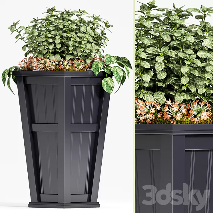 PLANT SET -88 3D Model