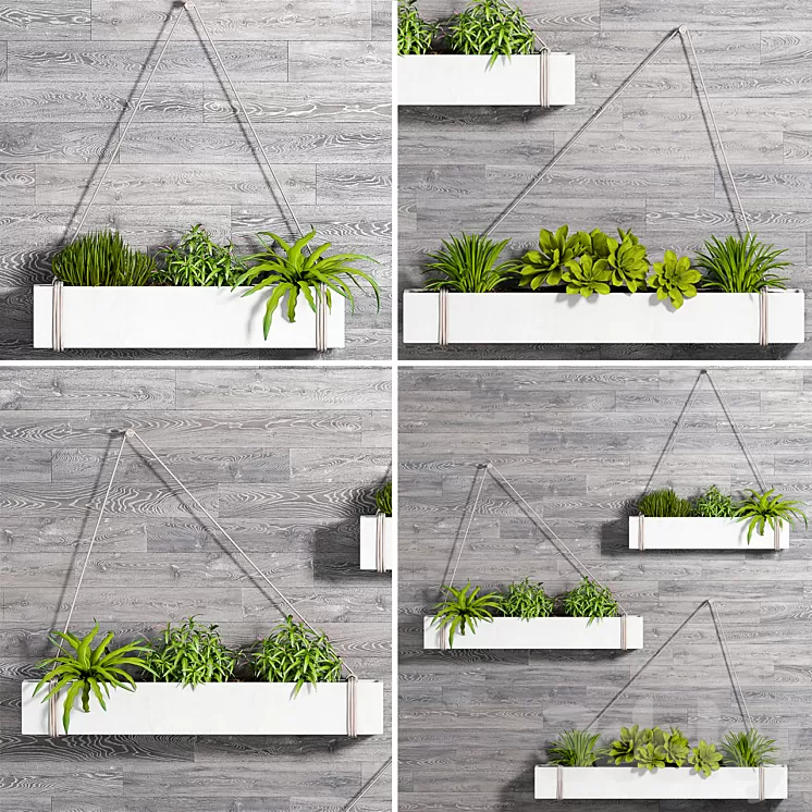 PLANT SET -92 3D Model