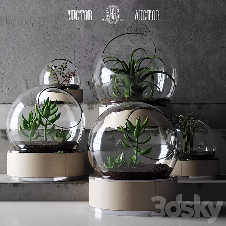 plant set ART Auctor 3D Model plant set ART Auctor 3D Model