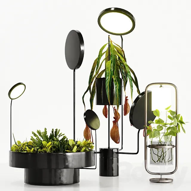 Plant Set With Lights 3D Model Plant Set With Lights 3D Model