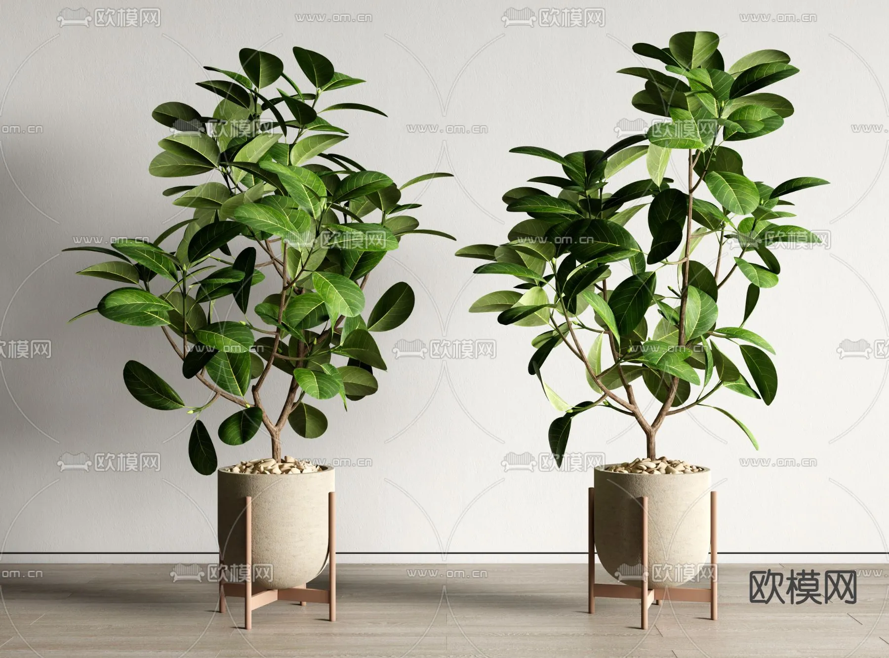 Plant – VRAY / CORONA – 3D MODEL – 402