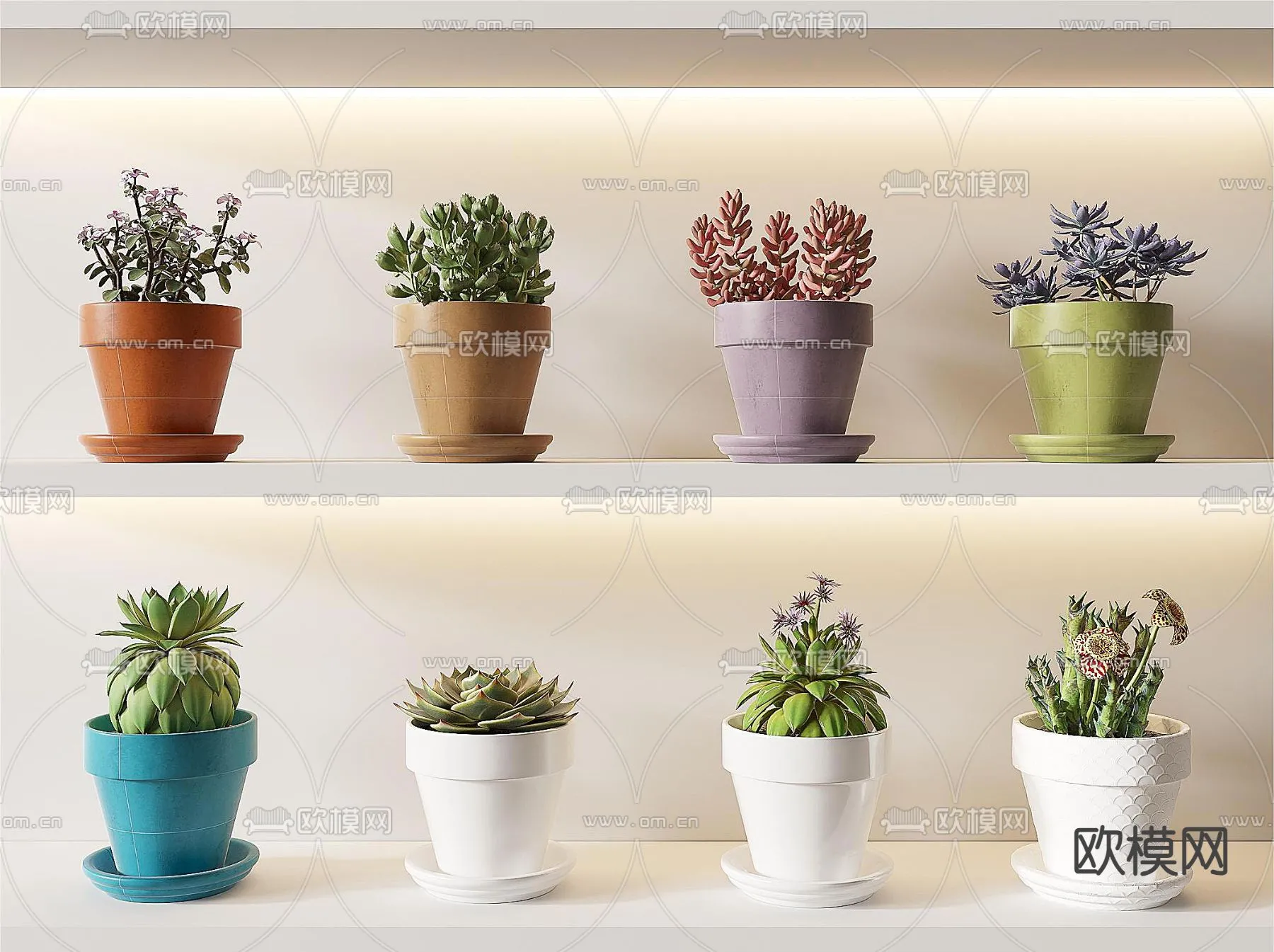 Plant – VRAY / CORONA – 3D MODEL – 415