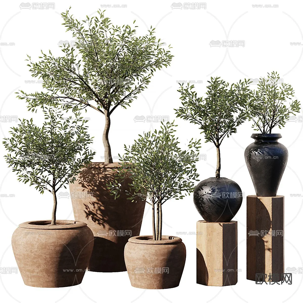 Plant – VRAY / CORONA – 3D MODEL – 419
