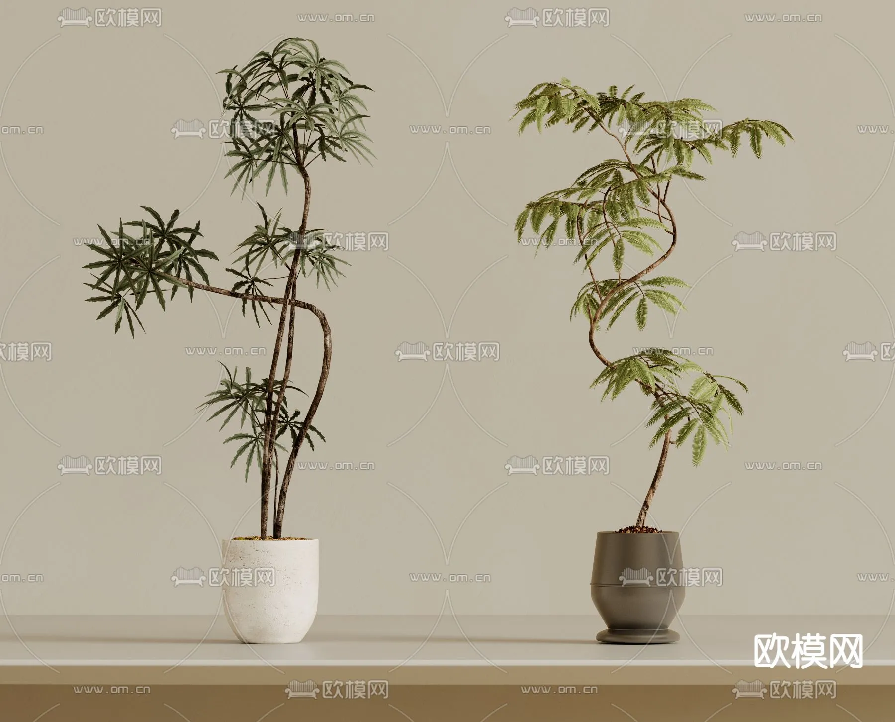 Plant – VRAY / CORONA – 3D MODEL – 421