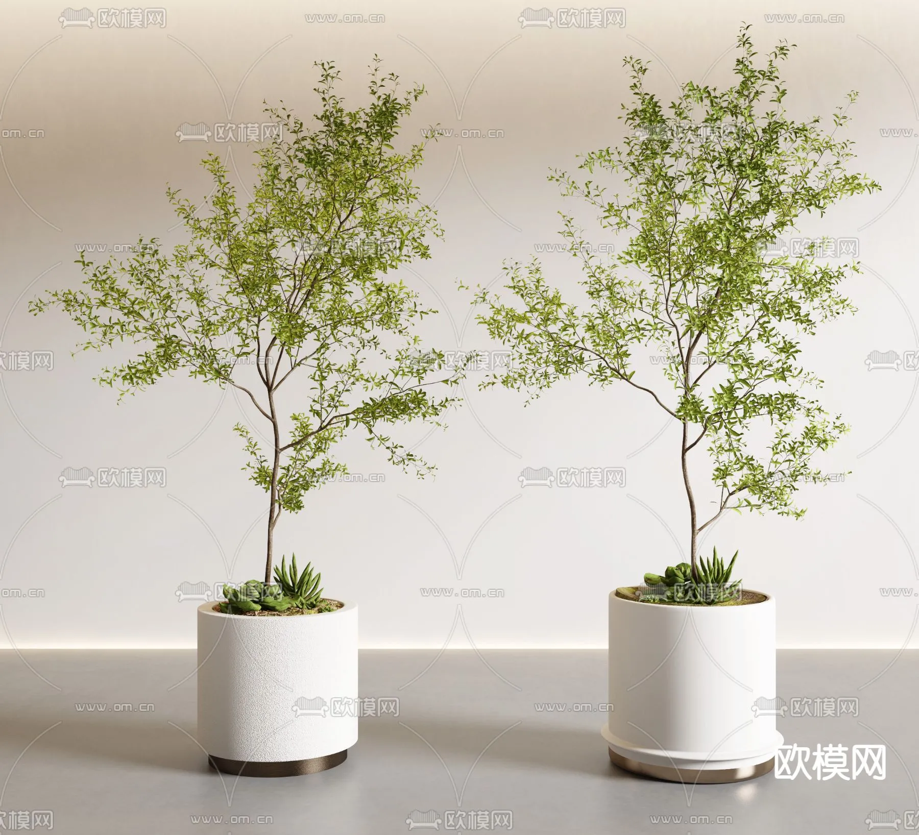 Plant – VRAY / CORONA – 3D MODEL – 442