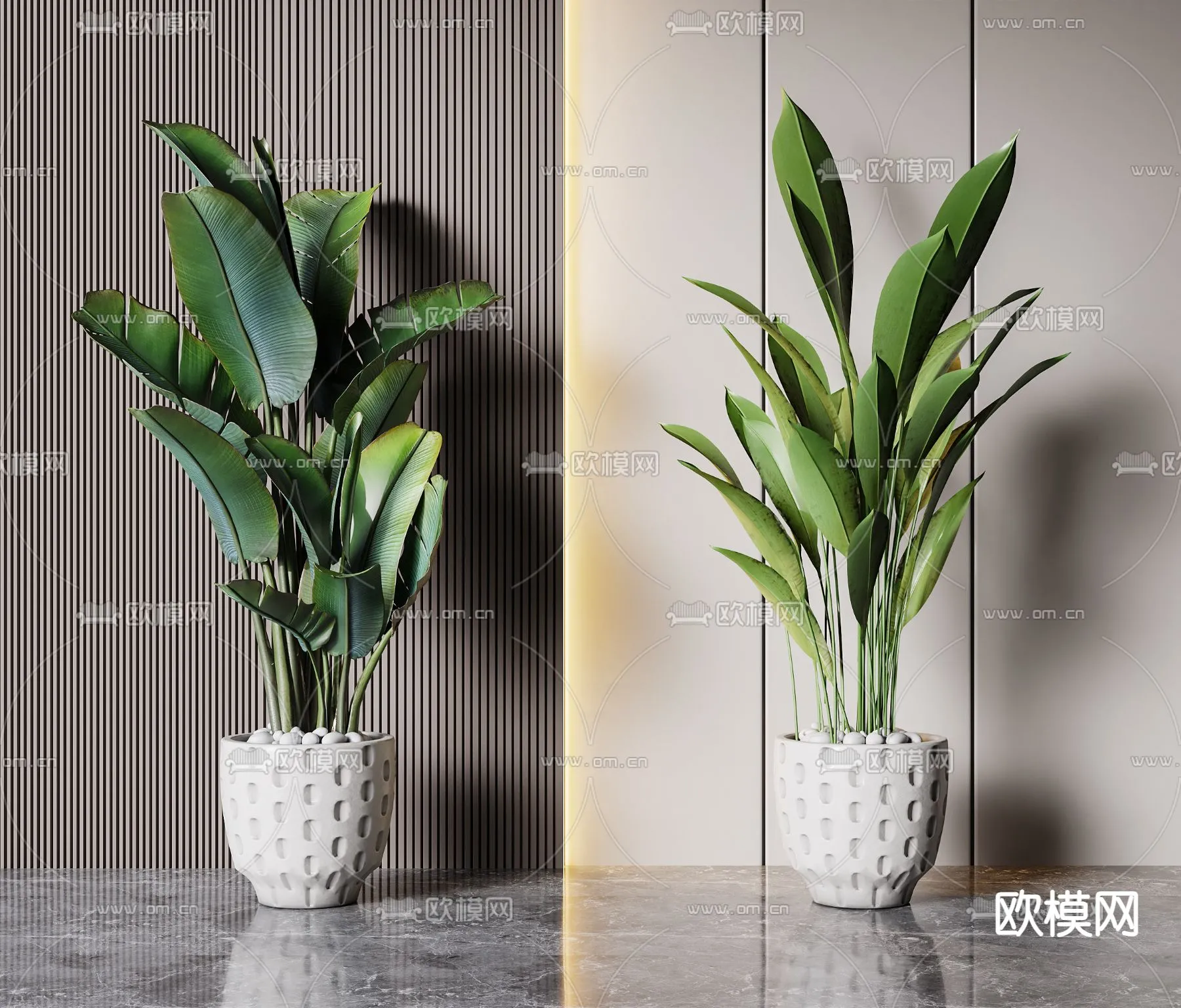 Plant – VRAY / CORONA – 3D MODEL – 444