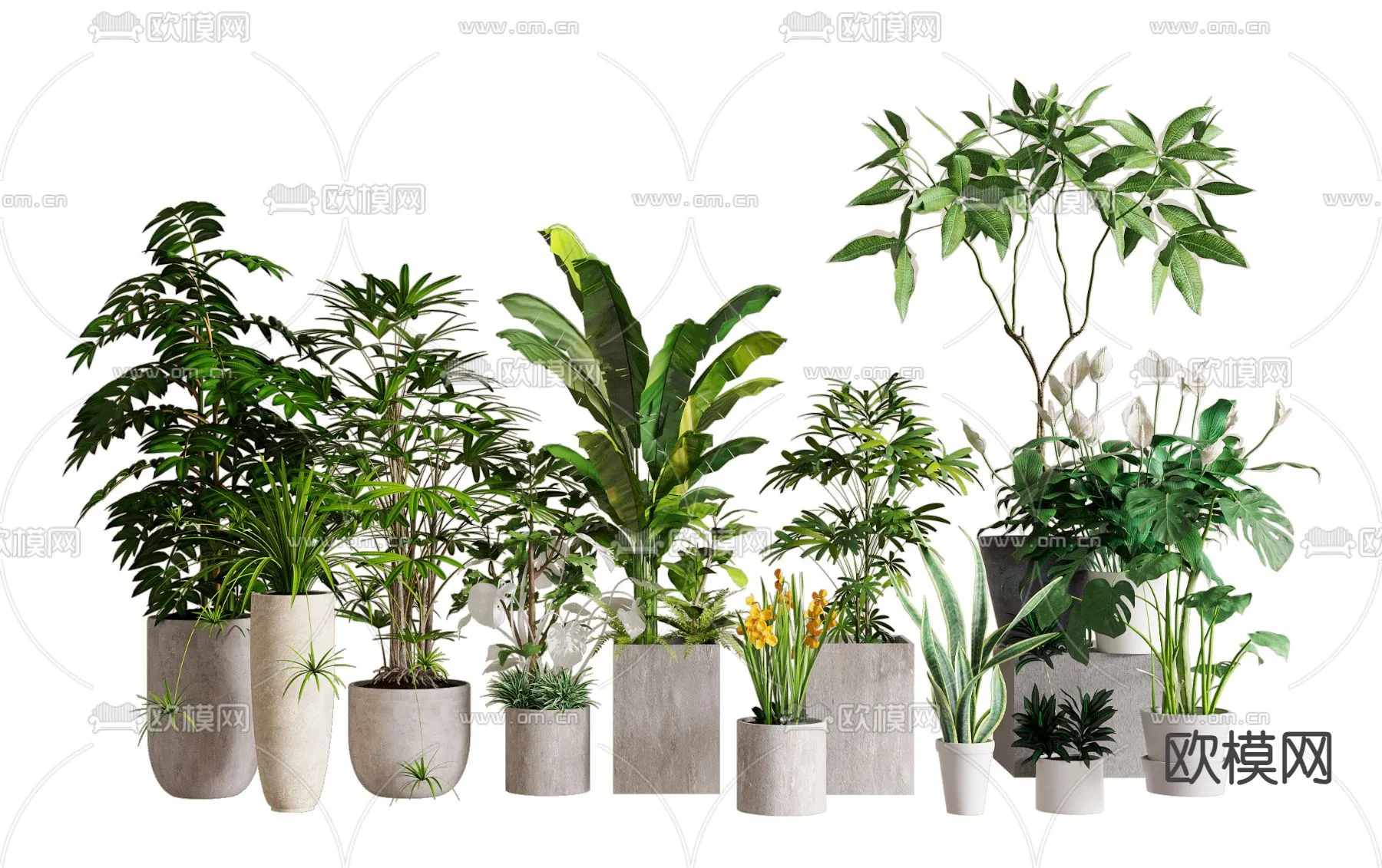 Plant – VRAY / CORONA – 3D MODEL – 459