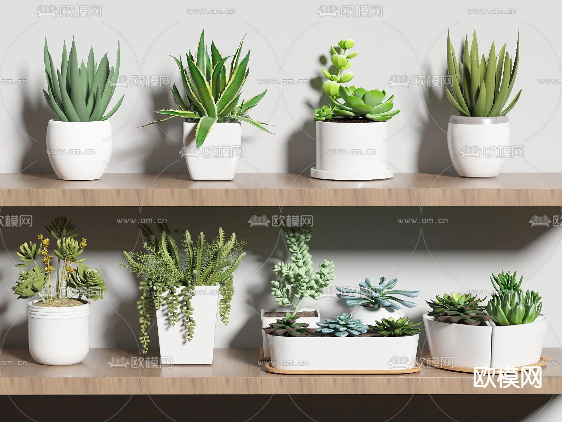 Plant – VRAY / CORONA – 3D MODEL – 460