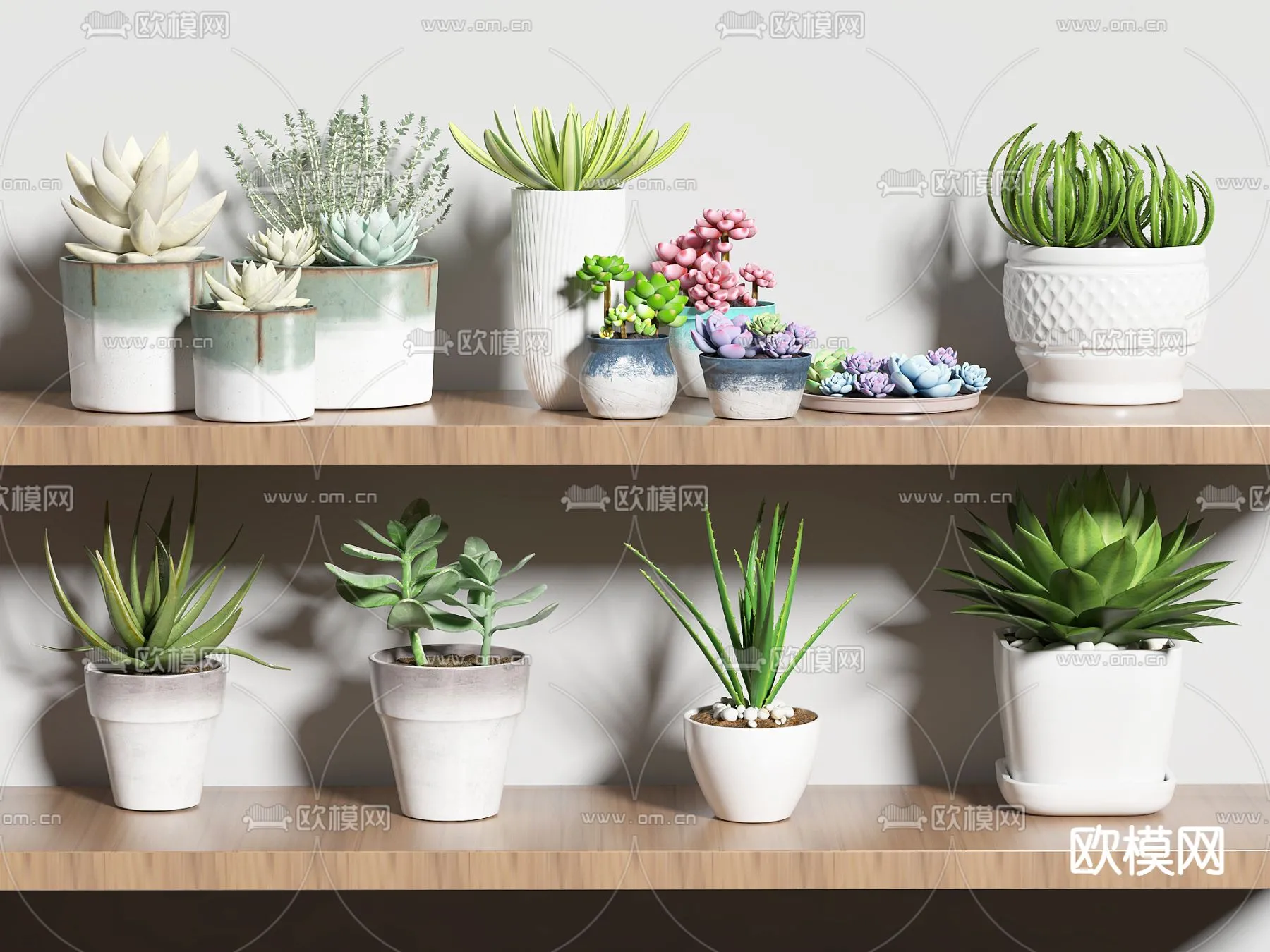 Plant – VRAY / CORONA – 3D MODEL – 461