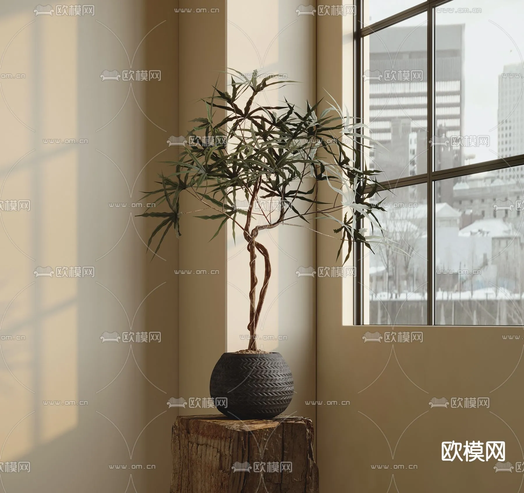 Plant – VRAY / CORONA – 3D MODEL – 462