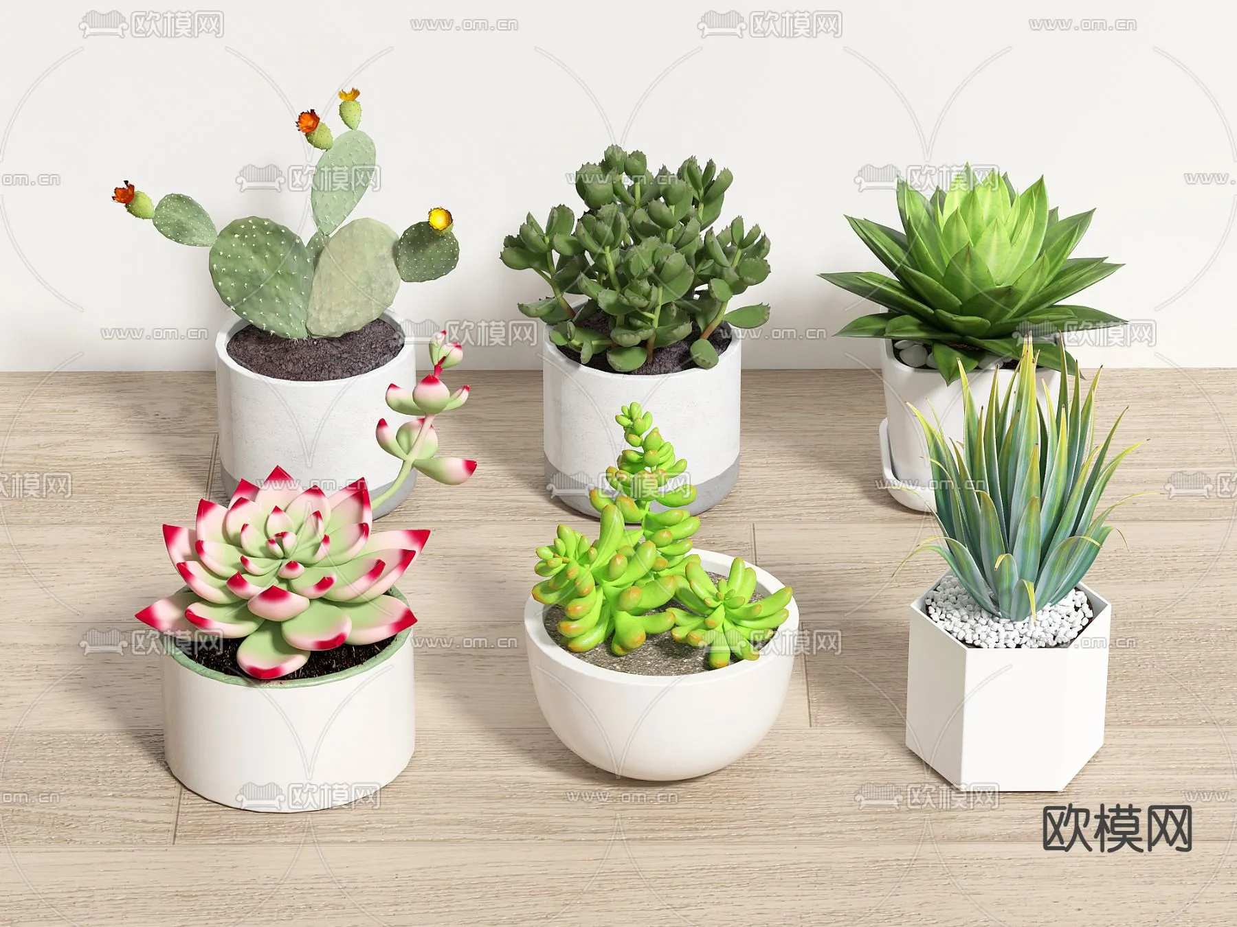 Plant – VRAY / CORONA – 3D MODEL – 475 Plant – VRAY / CORONA – 3D MODEL – 475