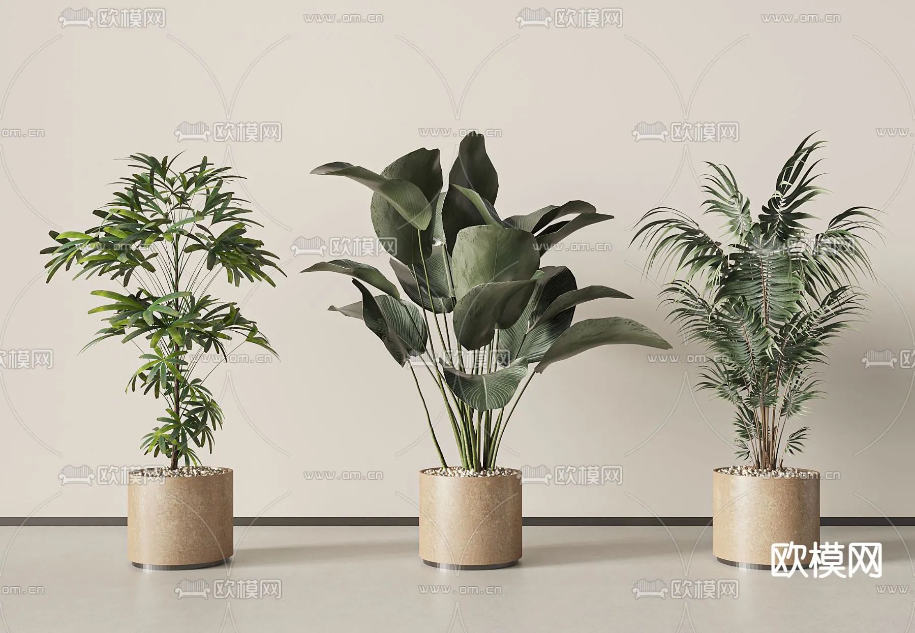 Plant – VRAY / CORONA – 3D MODEL – 476 Plant – VRAY / CORONA – 3D MODEL – 476