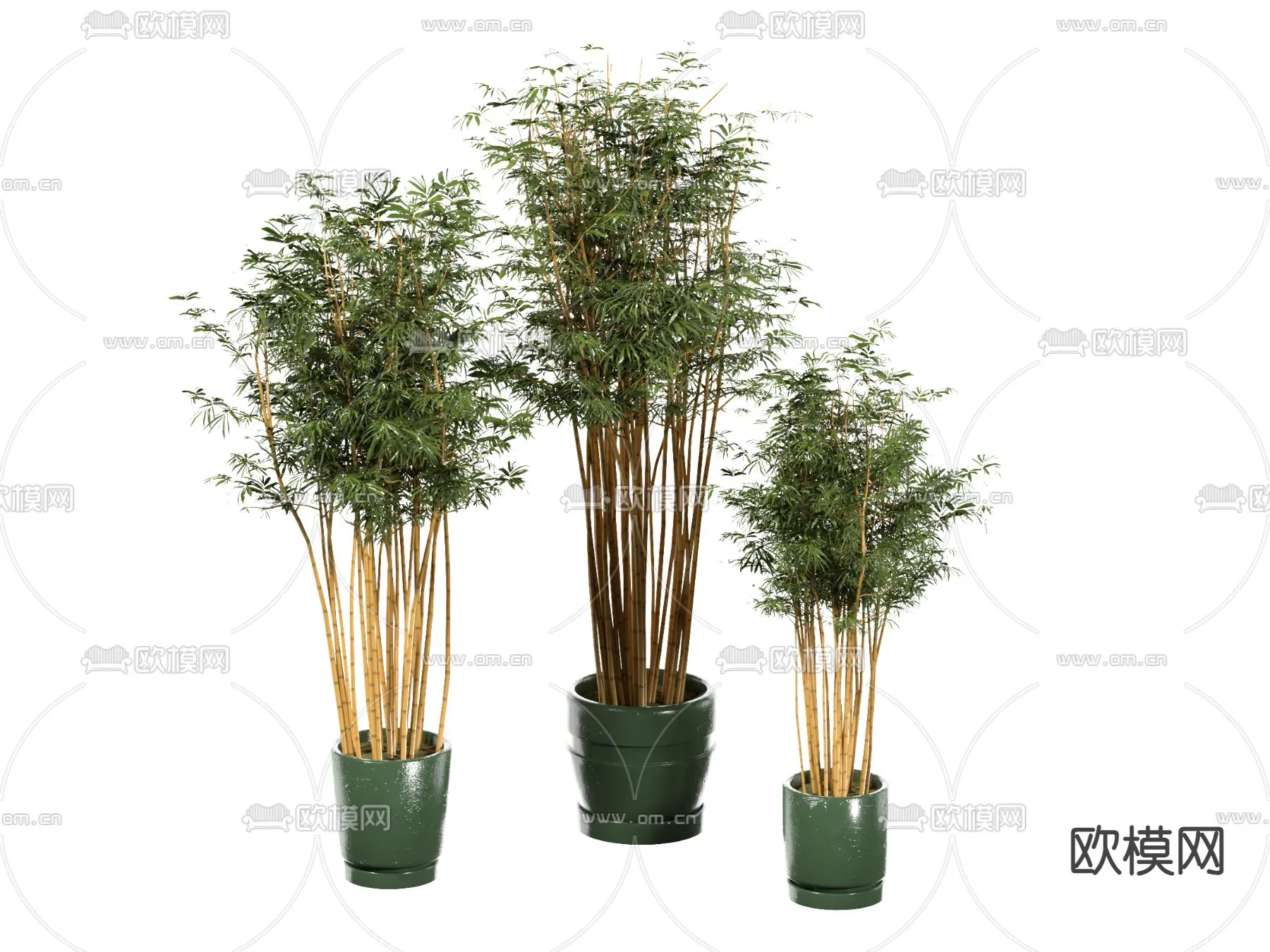 Plant – VRAY / CORONA – 3D MODEL – 477 Plant – VRAY / CORONA – 3D MODEL – 477