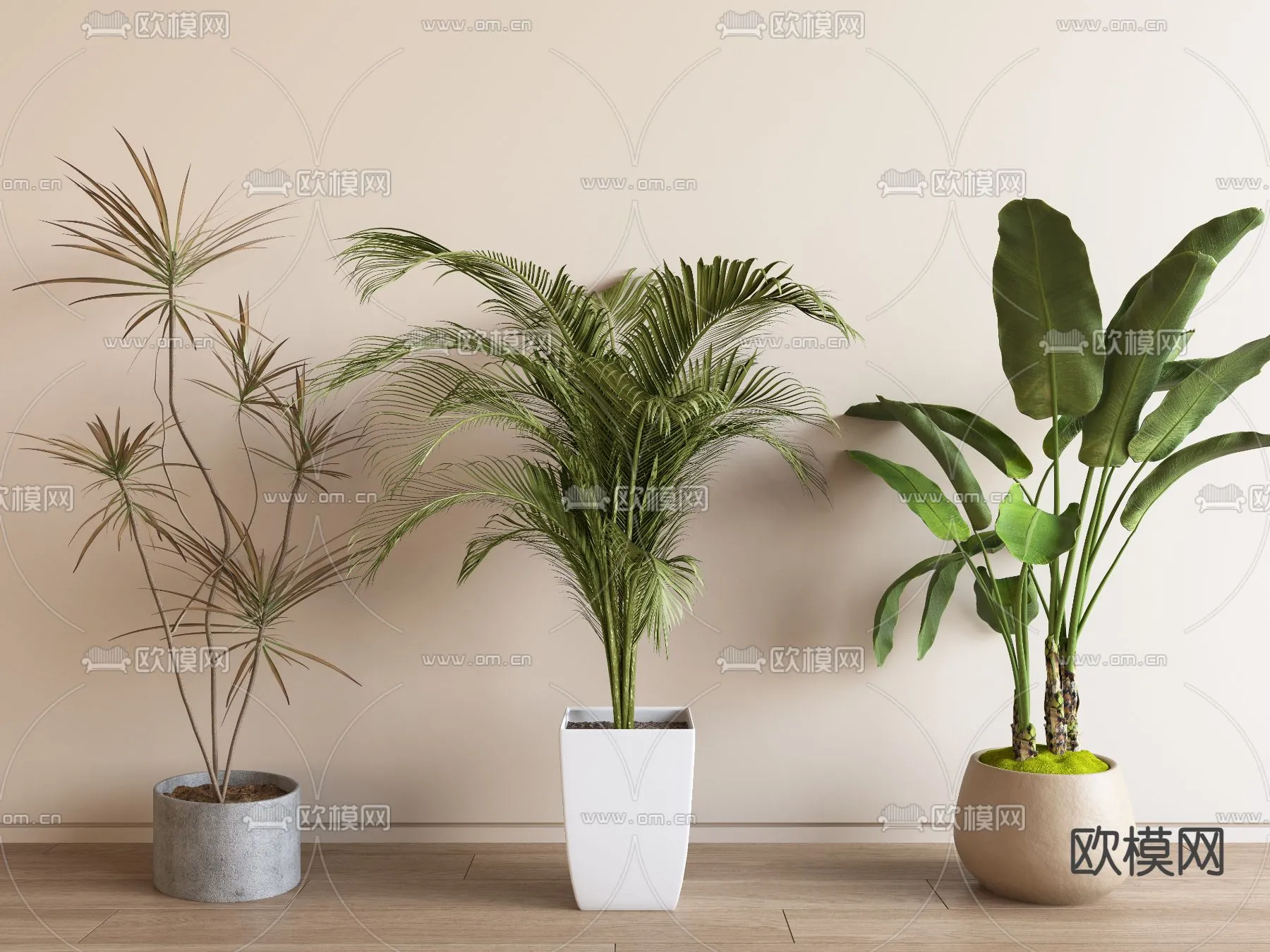 Plant – VRAY / CORONA – 3D MODEL – 480 Plant – VRAY / CORONA – 3D MODEL – 480