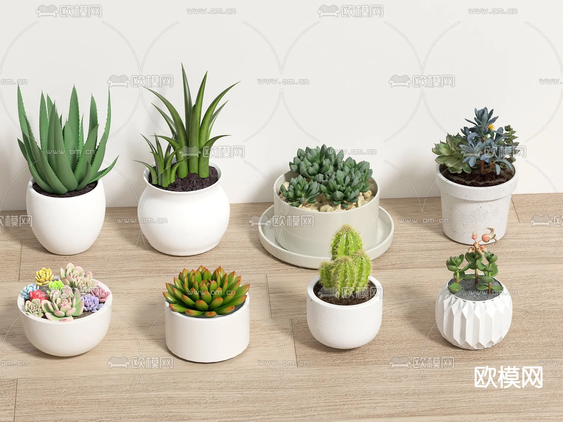 Plant – VRAY / CORONA – 3D MODEL – 484 Plant – VRAY / CORONA – 3D MODEL – 484