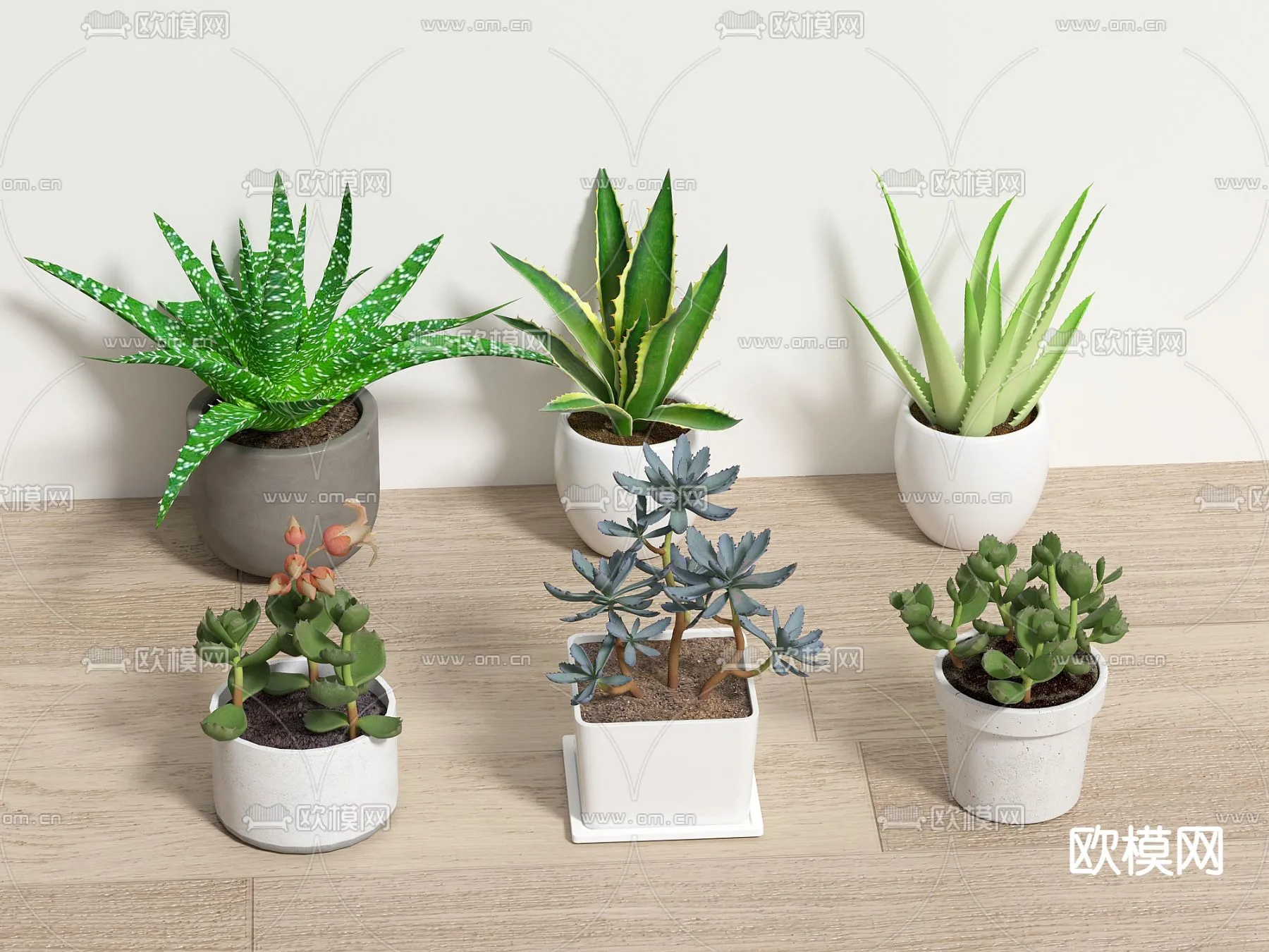 Plant – VRAY / CORONA – 3D MODEL – 485 Plant – VRAY / CORONA – 3D MODEL – 485