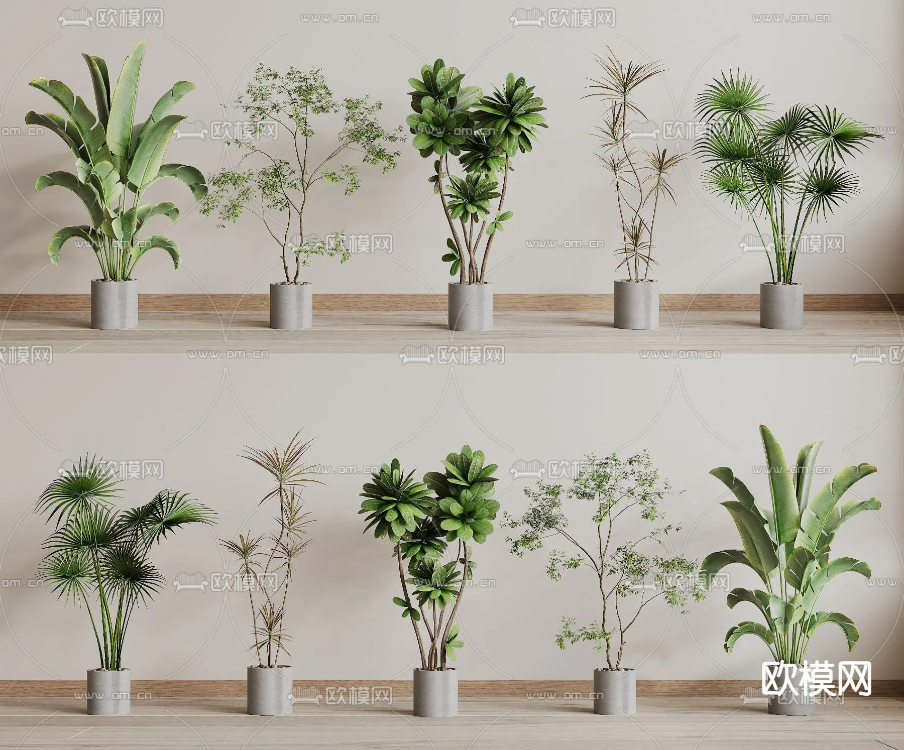 Plant – VRAY / CORONA – 3D MODEL – 487 Plant – VRAY / CORONA – 3D MODEL – 487