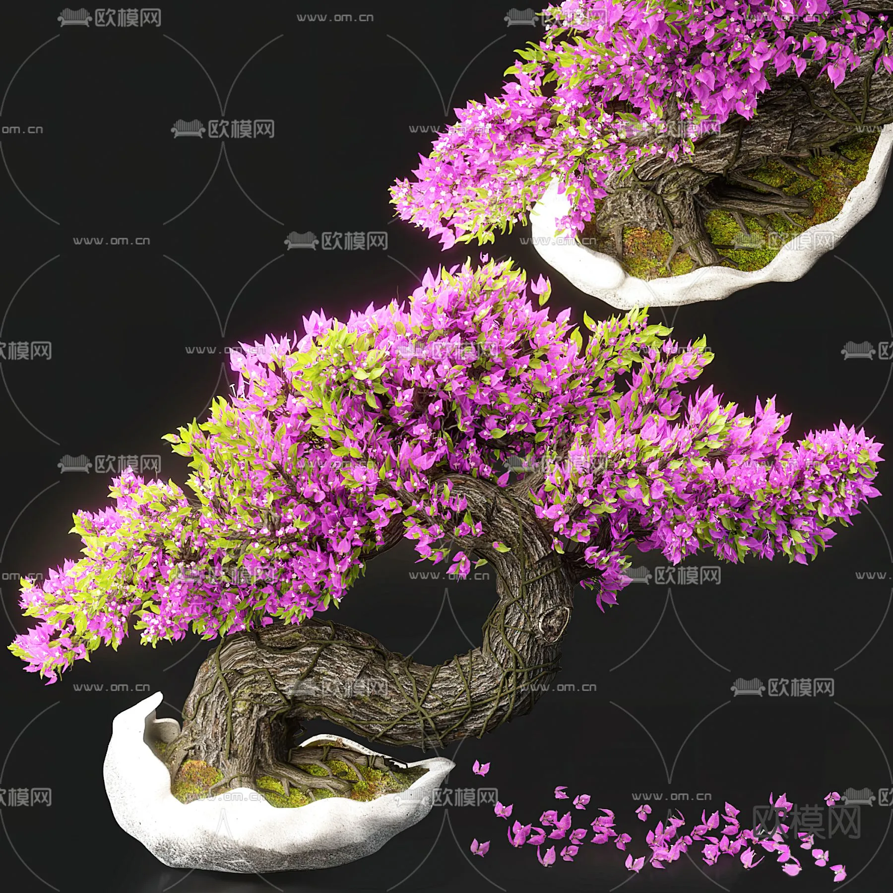 Plant – VRAY / CORONA – 3D MODEL – 492 Plant – VRAY / CORONA – 3D MODEL – 492