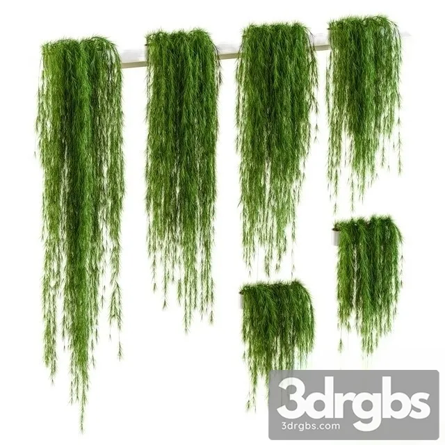Plant Wall Set 1 3D Model Download