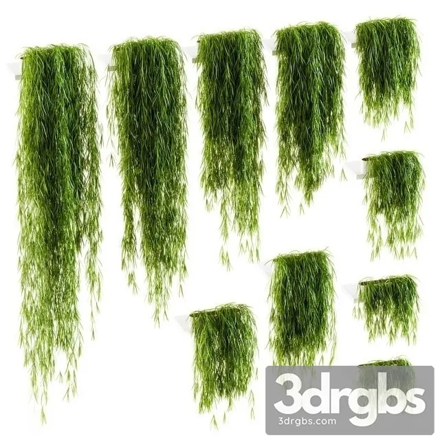 Plant Wall Set 2 3D Model Download