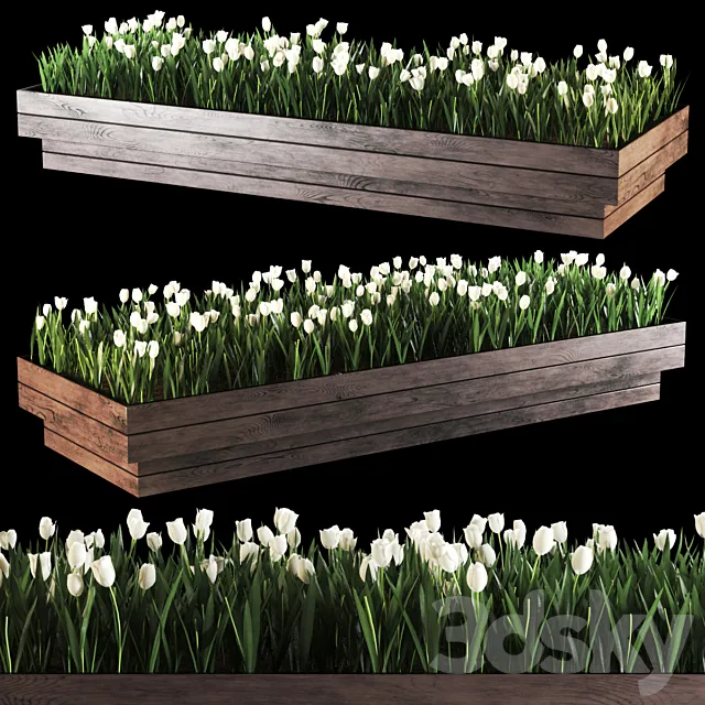 plant616 3D Model plant616 3D Model