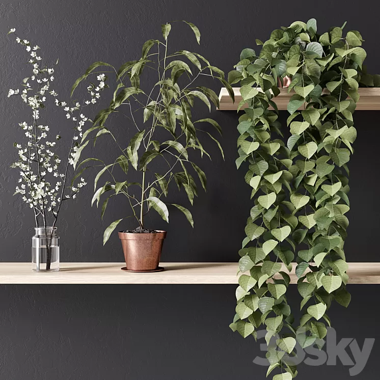 PLANT_002 3D Model PLANT_002 3D Model