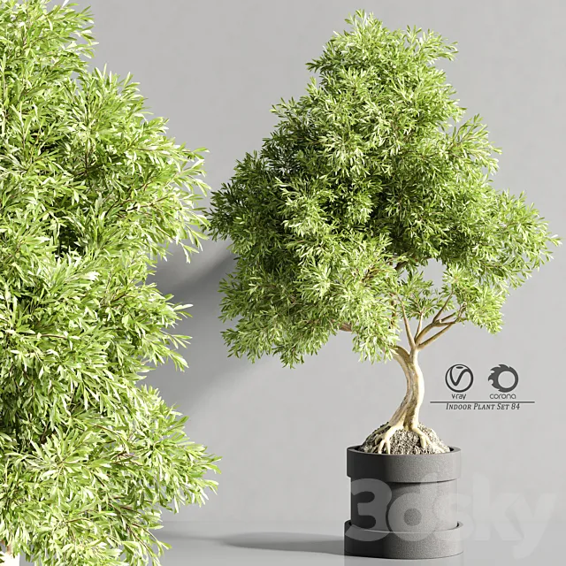 plant_bonsai_07 3D Model plant_bonsai_07 3D Model