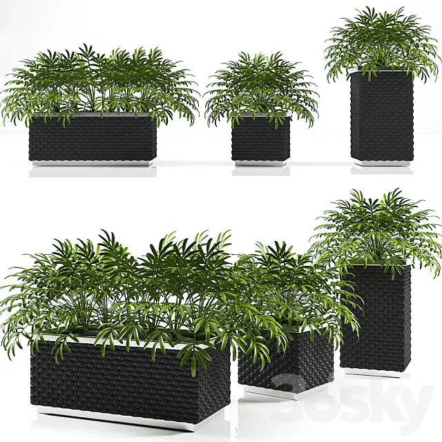 PLANTER BOX 3D Model PLANTER BOX 3D Model