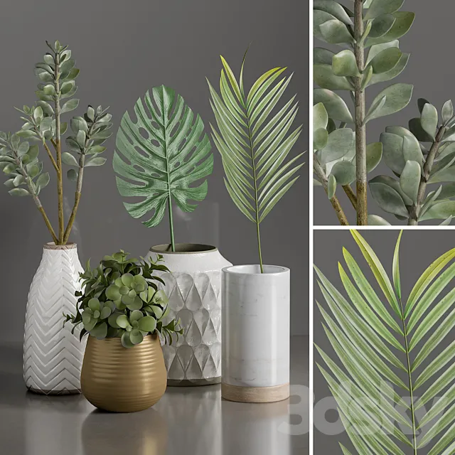 Plants 1 3D Model Plants 1 3D Model