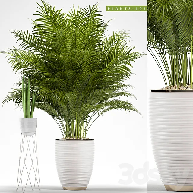 PLANTS 101 3D Model PLANTS 101 3D Model