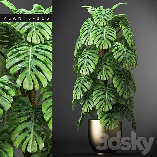 PLANTS 105 3DModel PLANTS 105 3DModel