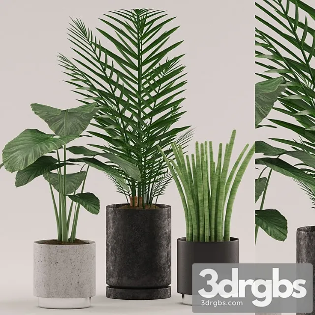 Plants 108 Plants 108