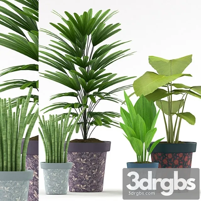 Plants 114 Plants 114