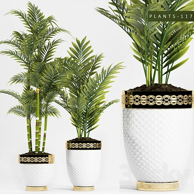 PLANTS 117 3D Model PLANTS 117 3D Model