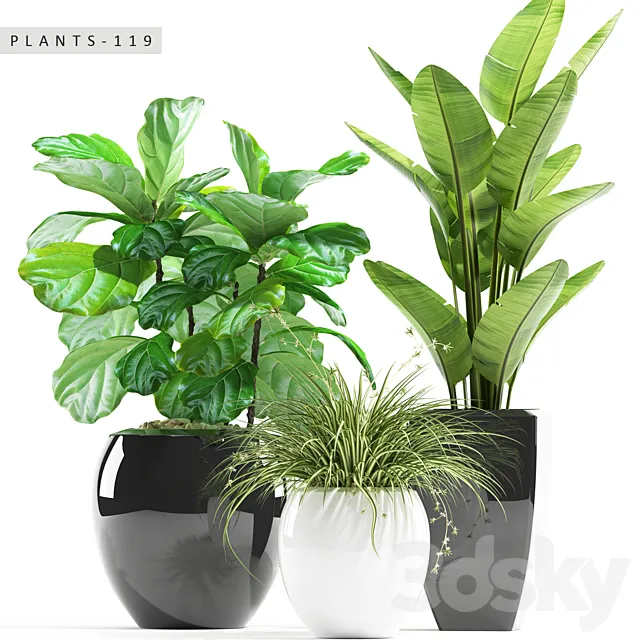 PLANTS 119 3D Model PLANTS 119 3D Model