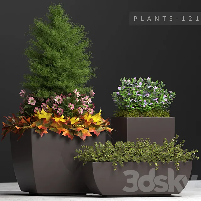 PLANTS 121 3D Model PLANTS 121 3D Model