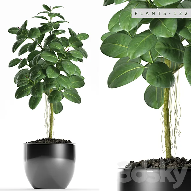 PLANTS 122 3D Model PLANTS 122 3D Model