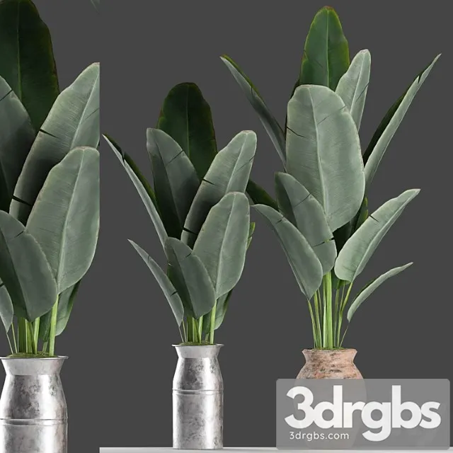 Plants 122 Plants 122