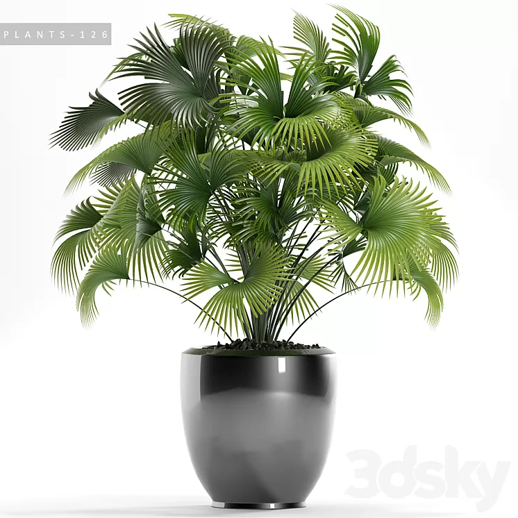 PLANTS 126 3D Model