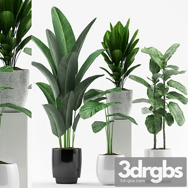 Plants 127 Plants 127