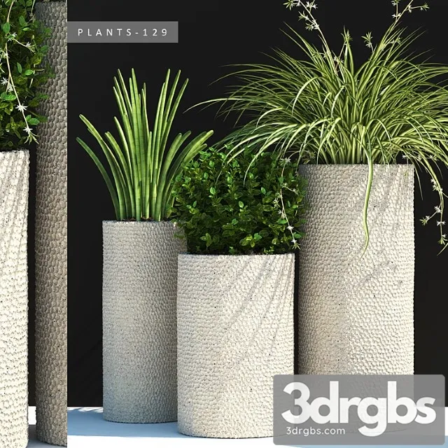 Plants 129 3D Model Download