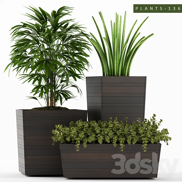 PLANTS 136 3D Model PLANTS 136 3D Model