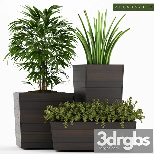 Plants 136 Plants 136