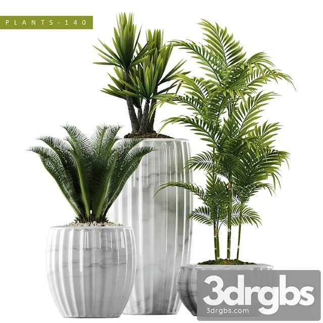 Plants 140 Plants 140