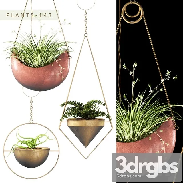 Plants 143 Plants 143