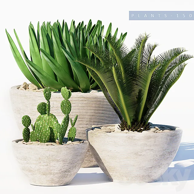 PLANTS 150 3DModel PLANTS 150 3DModel