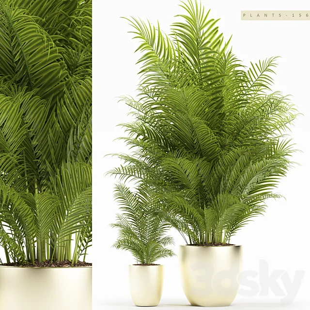 PLANTS 156 3D Model PLANTS 156 3D Model