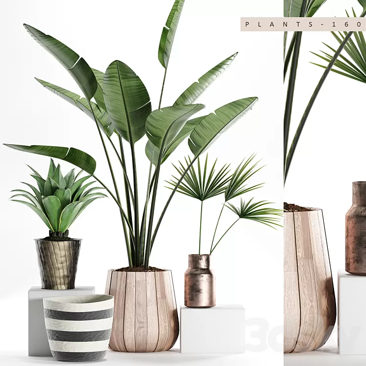 PLANTS 160 3D Model PLANTS 160 3D Model